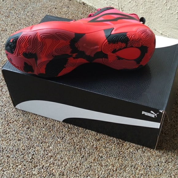 PUMA Genetics - Picture 6 of 13